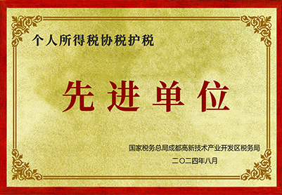 2024年個(gè)人所得稅協(xié)稅護(hù)稅先進(jìn)單位